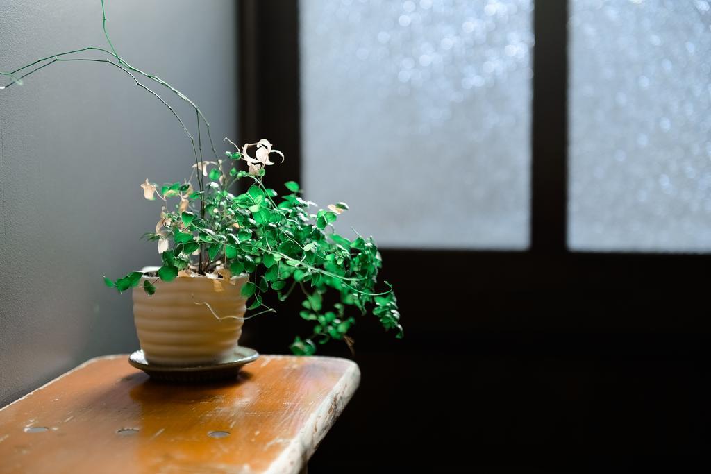 Nanni Saiin Machiya Villa Kyoto Eksteriør bilde